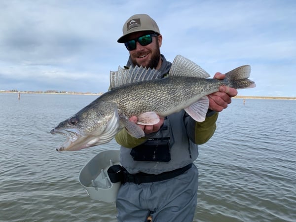 walleye-peak-to-plains